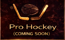 Pro Hockey